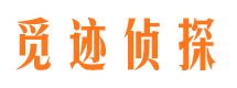 长阳市调查公司